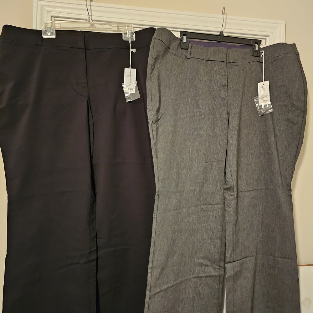 2 Pair Lane Bryant Boot Pants 22S